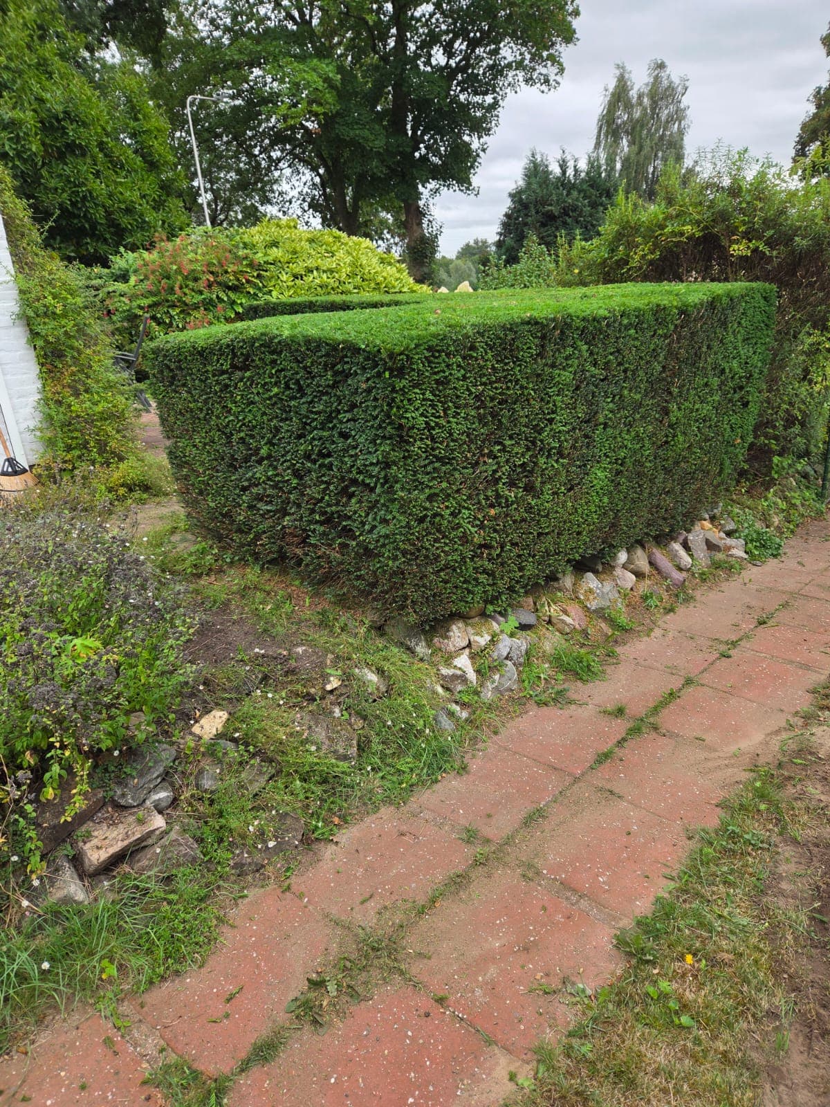 Nette haag met stenen border langs tuinpad