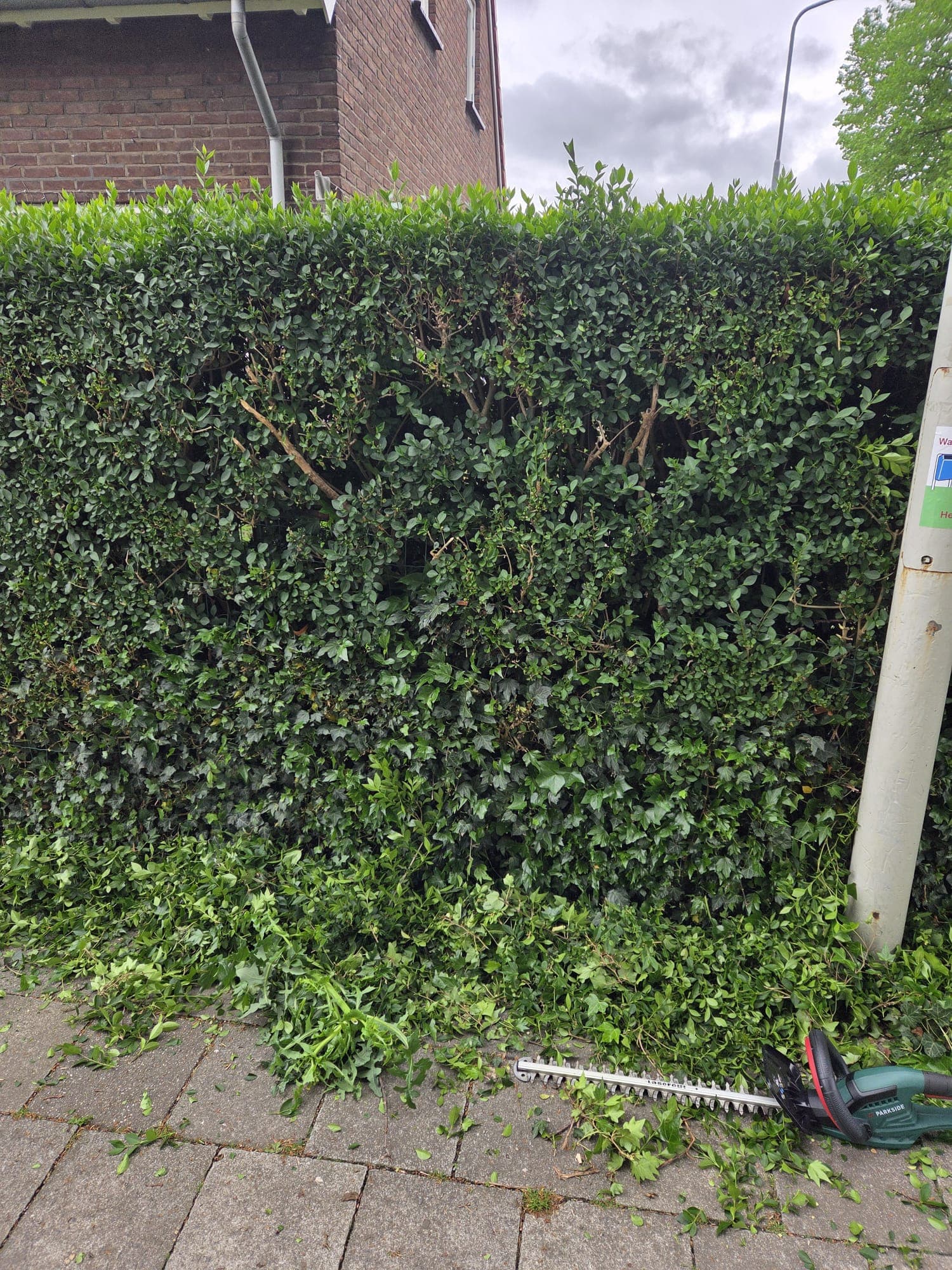 Verzorgde gesnoeid haag langs woonhuis